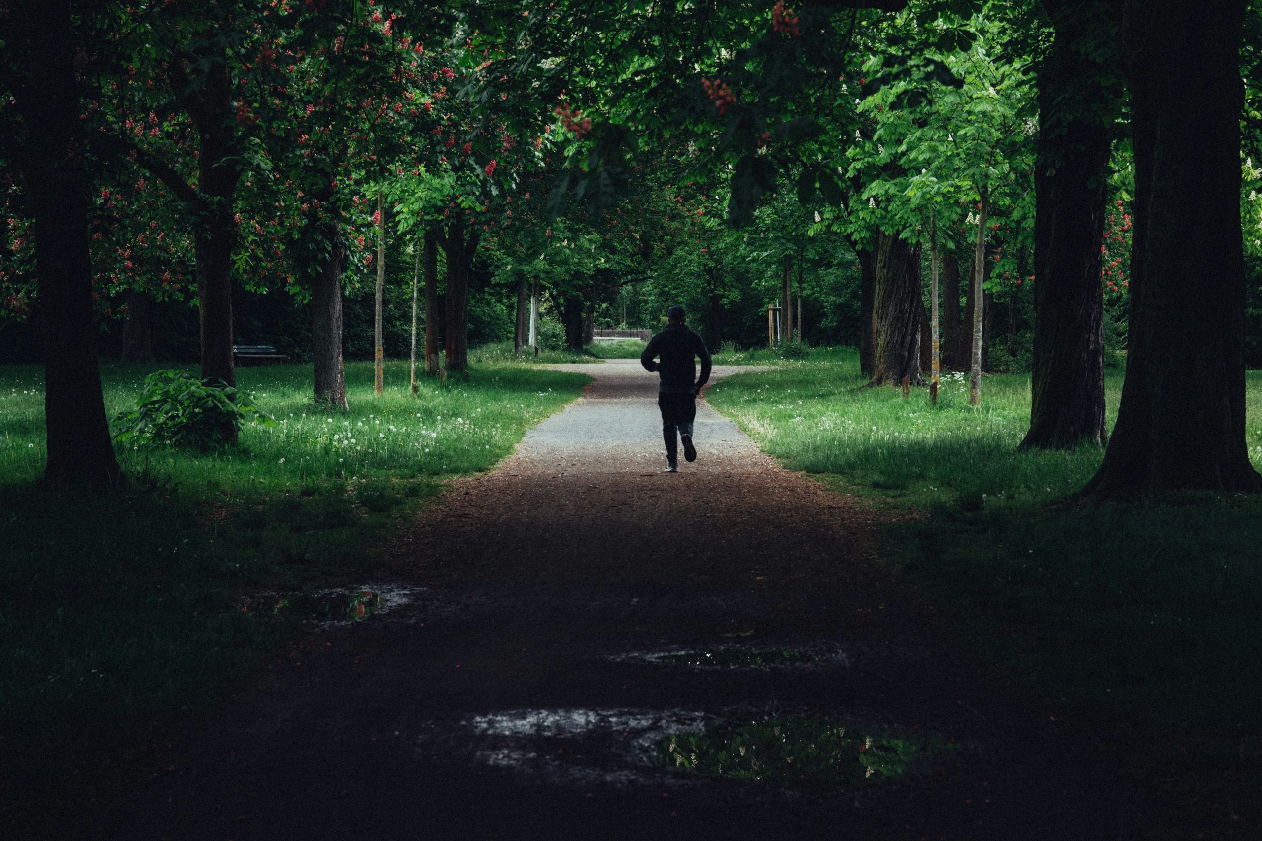 physical activity supporting energy management productivity