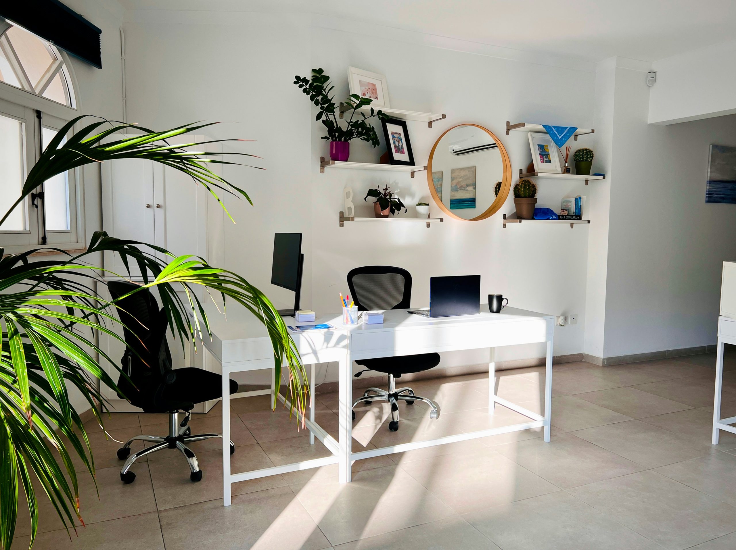 calm minimal workspace with plants for achieving flow state