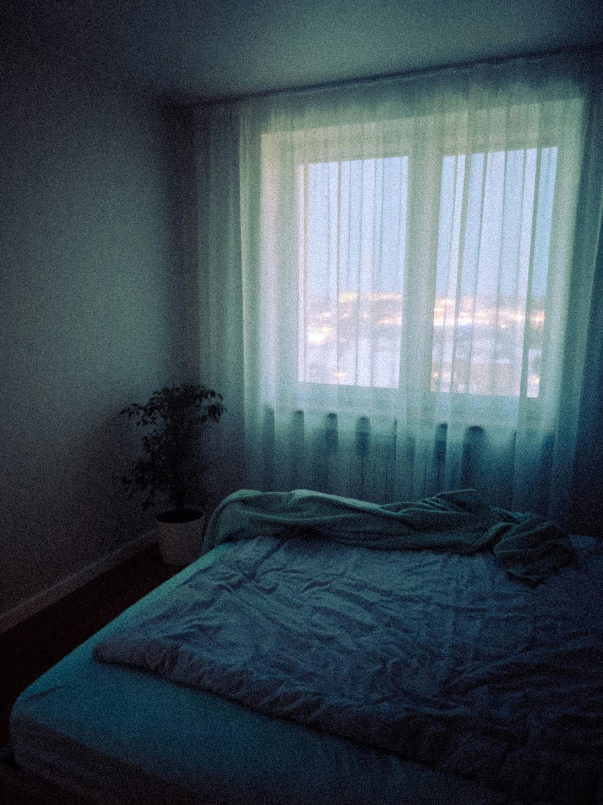 tranquil bedroom with natural light for healthy sleep schedule