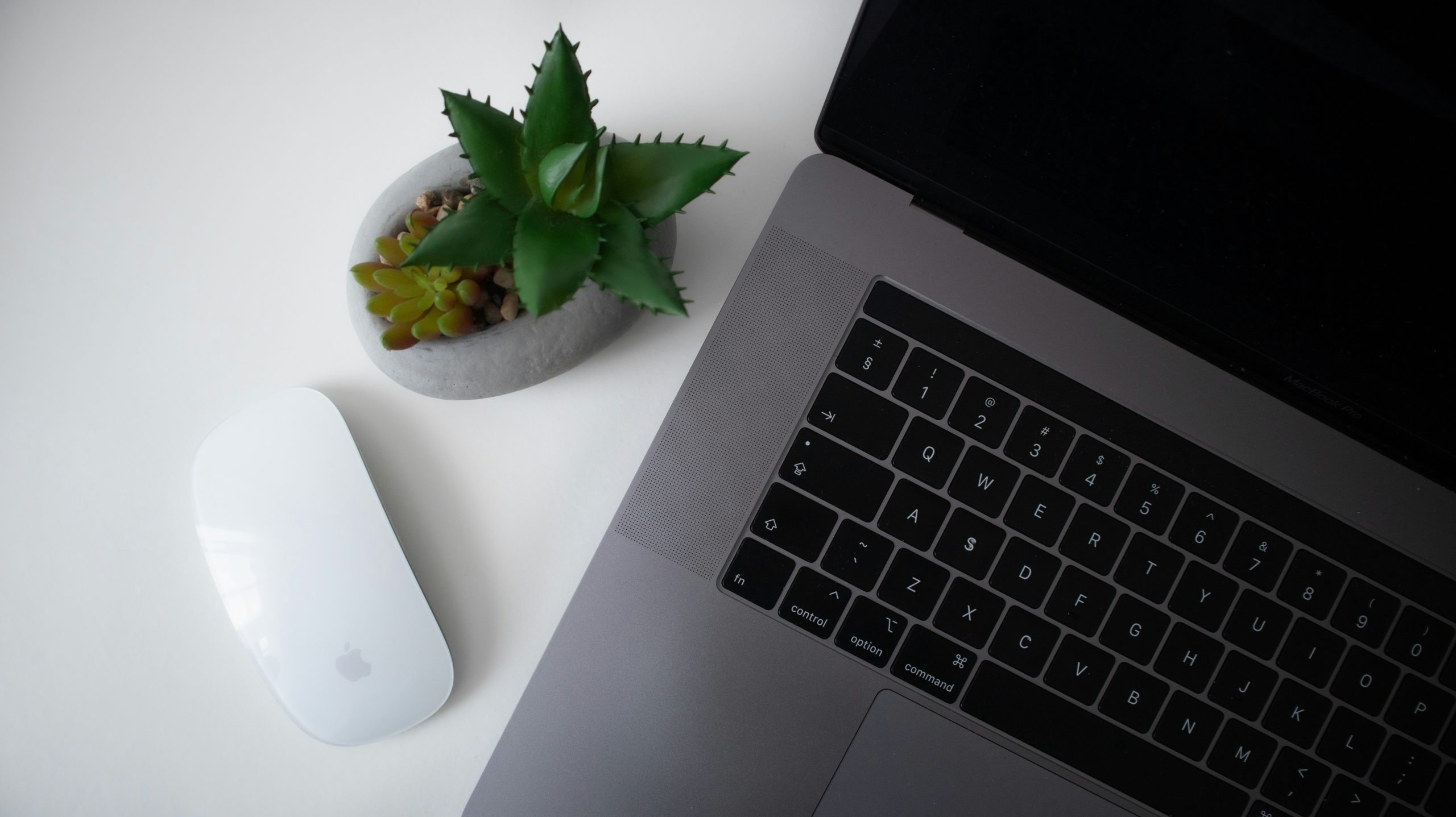single laptop and plant on clean desk for focused single tasking work