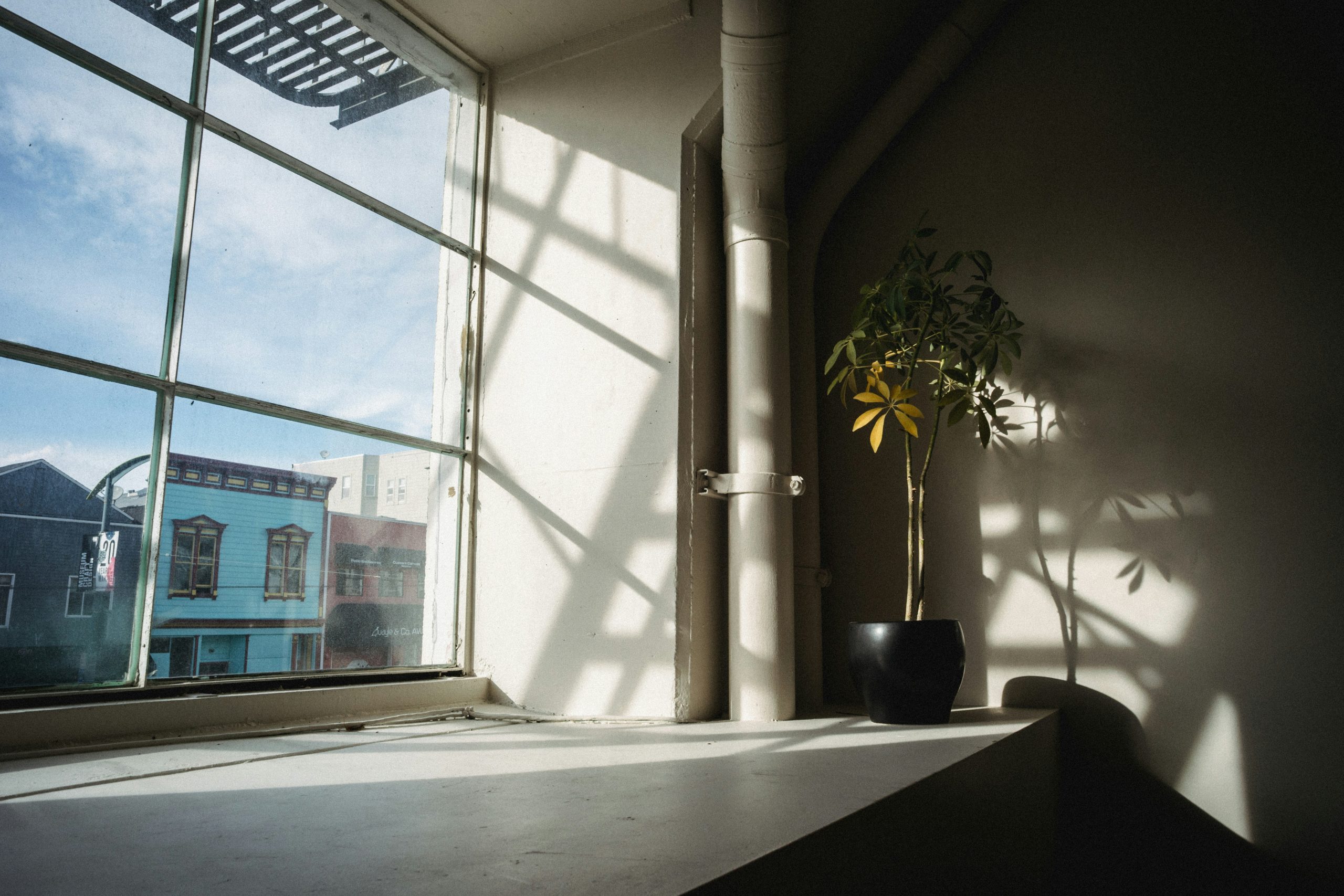 summer productivity tips sunlight streaming through window onto desk with plant